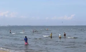 Hai thanh niên Việt Nam cứu hai em bé Nhật bị sóng cuốn